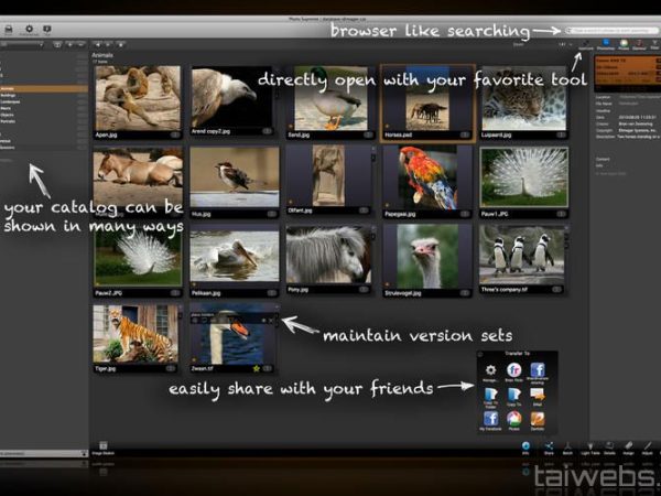 IDimager Photo Supreme + Serial Key 100% Working