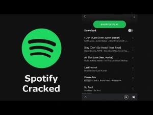 Spotify1