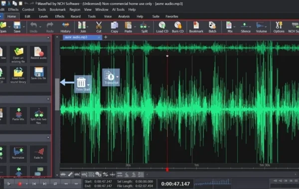 Código Wavepad Sound Editor