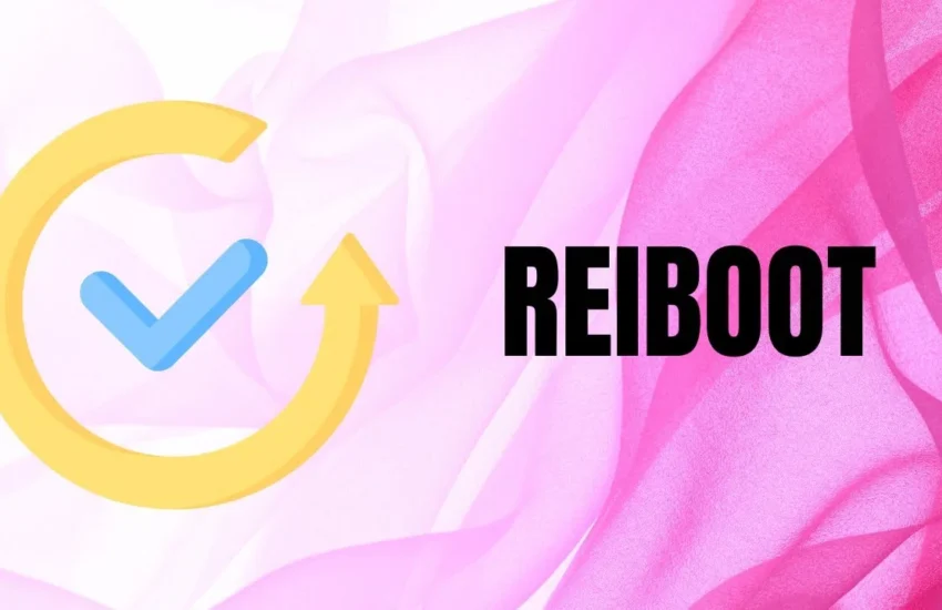 ReiBoot Pro